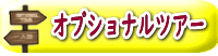オプショナルツアー
