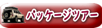 パッケージツアー