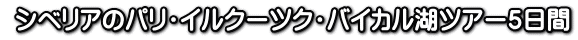  VxÃpECN[cNEoCJ΃cA[T