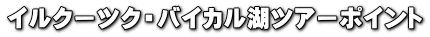CN[cNEoCJ΃cA[|Cg