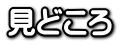 見どころ