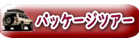 パッケージツアー