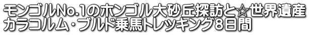 モンゴルNo.1のホンゴル大砂丘探訪と☆世界遺産 カラコルム・ブルド乗馬トレッキング８日間